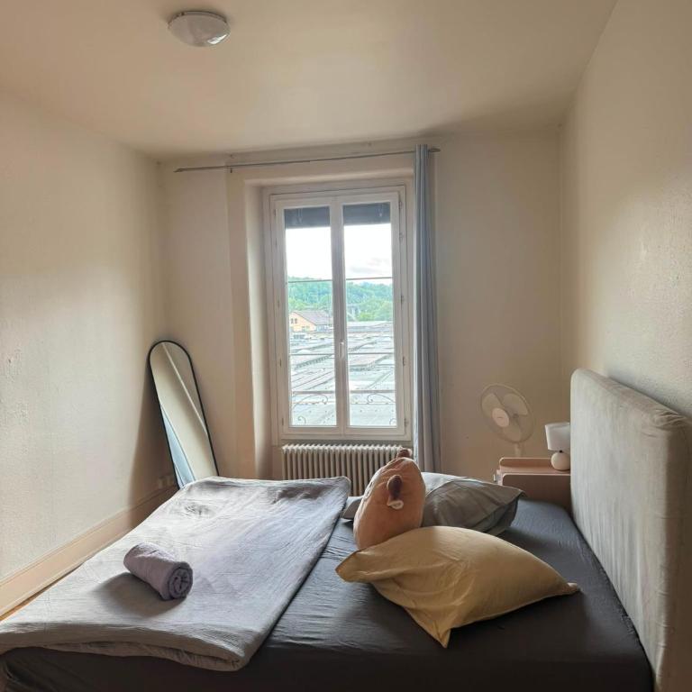 Grand 3 piece au Centre Geneve - Appartement 2 Chambres - 2