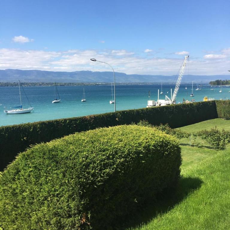 Elite Villa Geneva with Lake View - Villa - 5