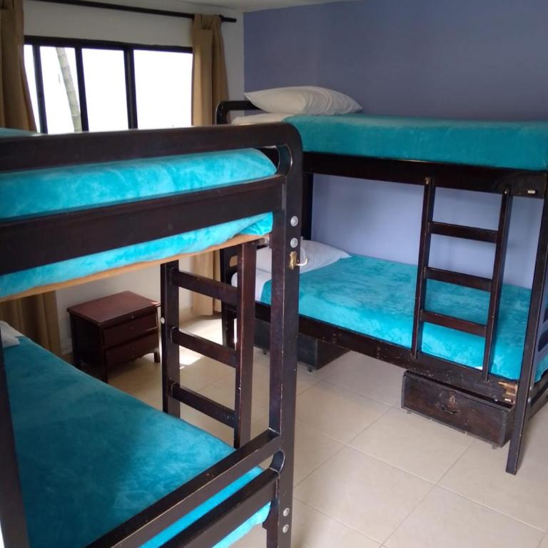 Casa Kiwi Hostel - Litera en habitación compartida - Solo mujeres - 2