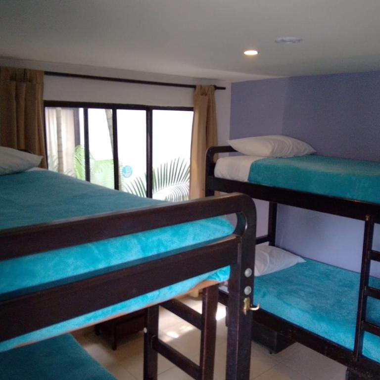 Casa Kiwi Hostel - Litera en habitación compartida - Solo mujeres - 1