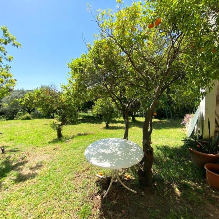 Appartement 75m2 avec terrasse et jardin - Apartment mit 1 Schlafzimmer - 9