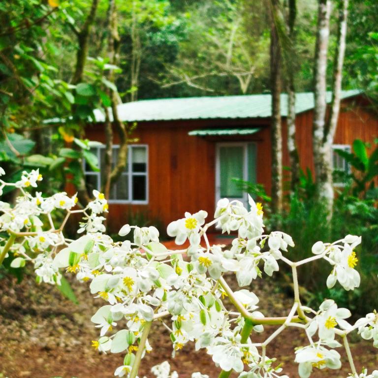 Yasí Yateré Reserva Agroecológica - Bungalow Familiar - 15