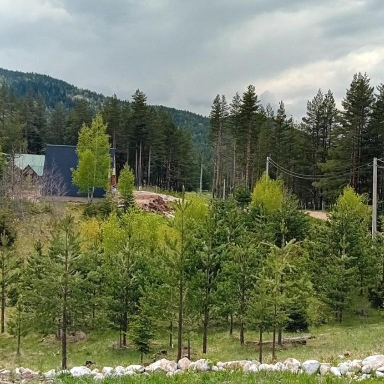 Vila Hilaris - Brvnara sa 1 Spavaćom Sobom - 41