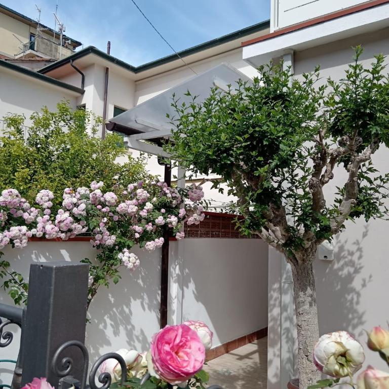 Da' Mi ' Nonni - Three-Bedroom Vacation Home - 4