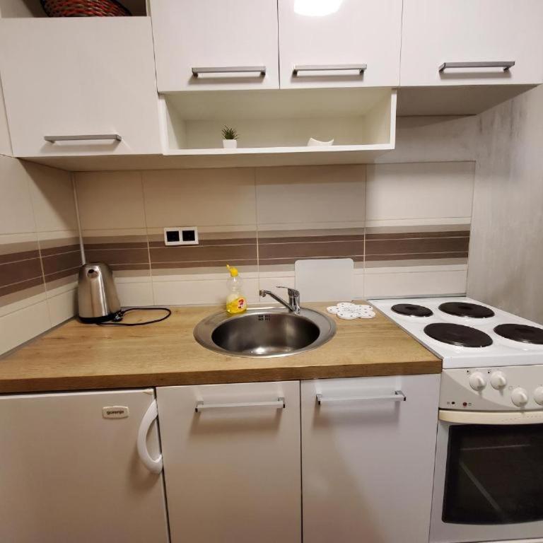 Sleep and drive city - Apartman sa 1 Spavaćom Sobom - 5