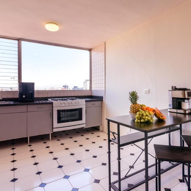 Skyline Sanctuary Condesa - Appartement 2 Chambres Deluxe - 9