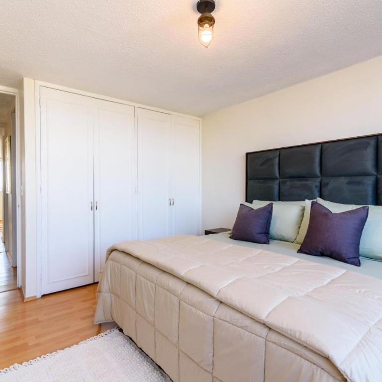 Skyline Sanctuary Condesa - Appartement 2 Chambres Deluxe - 14