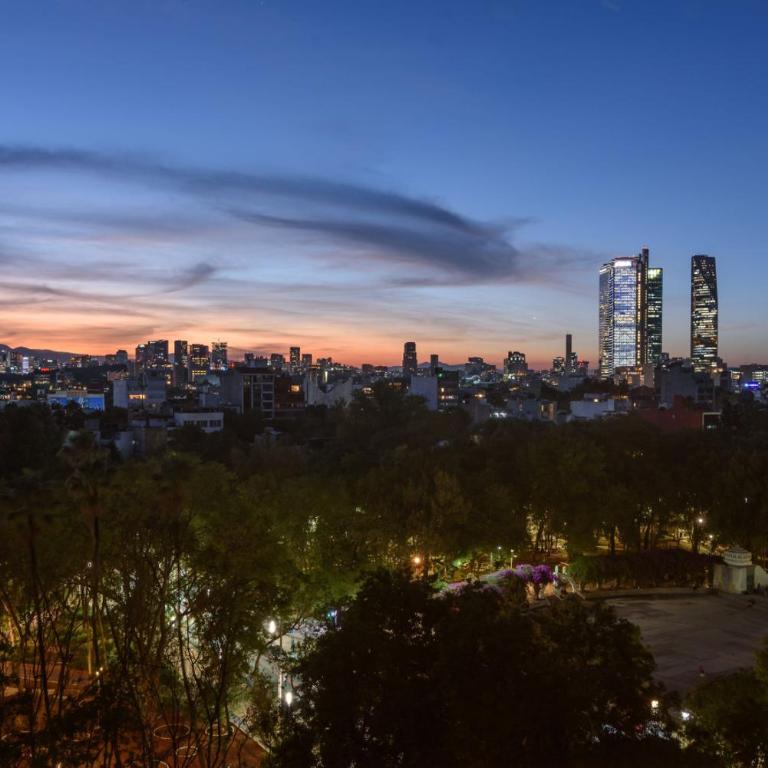 Skyline Sanctuary Condesa - Appartement 2 Chambres Deluxe - 19