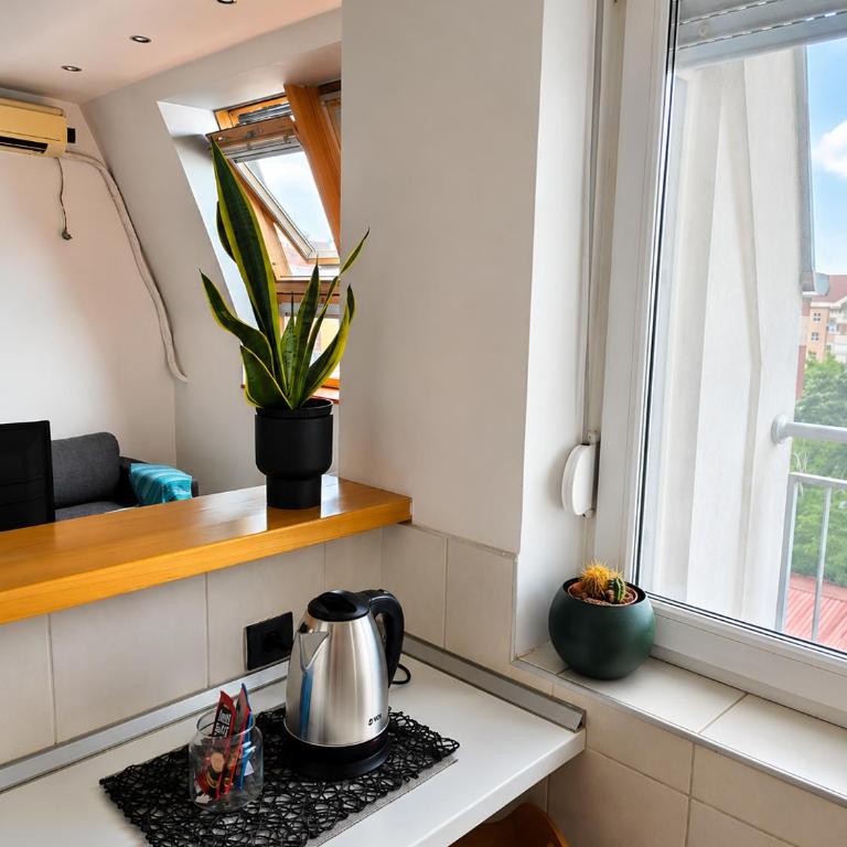 Alex Studio Novi Sad - Apartman sa 1 Spavaćom Sobom - 15