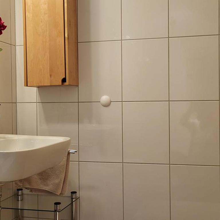 Aparthotel Bergkristall - Apartamento de 1 dormitorio - 14