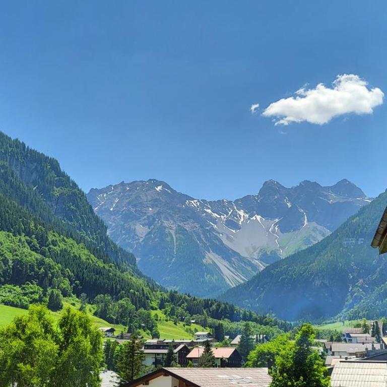 Aparthotel Bergkristall - Apartamento de 1 dormitorio - 16