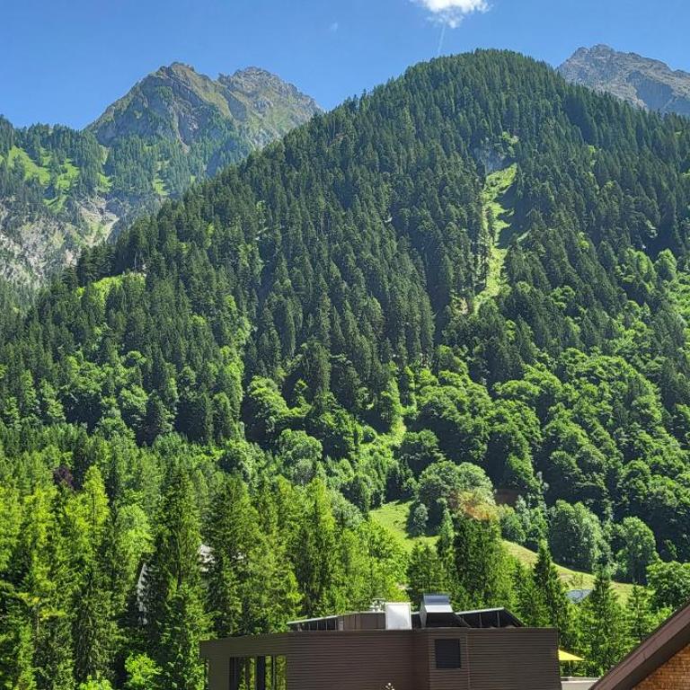 Aparthotel Bergkristall - Apartamento de 1 dormitorio - 18
