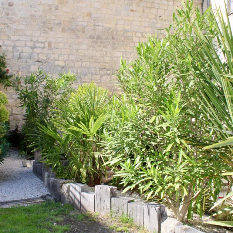 La Tour Napoléonienne et son Jacuzzi - Apartamento de 1 dormitorio - 18