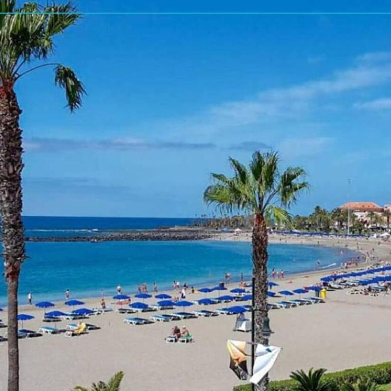 Torres Las Vistas - Apartamento de 1 dormitorio - 19
