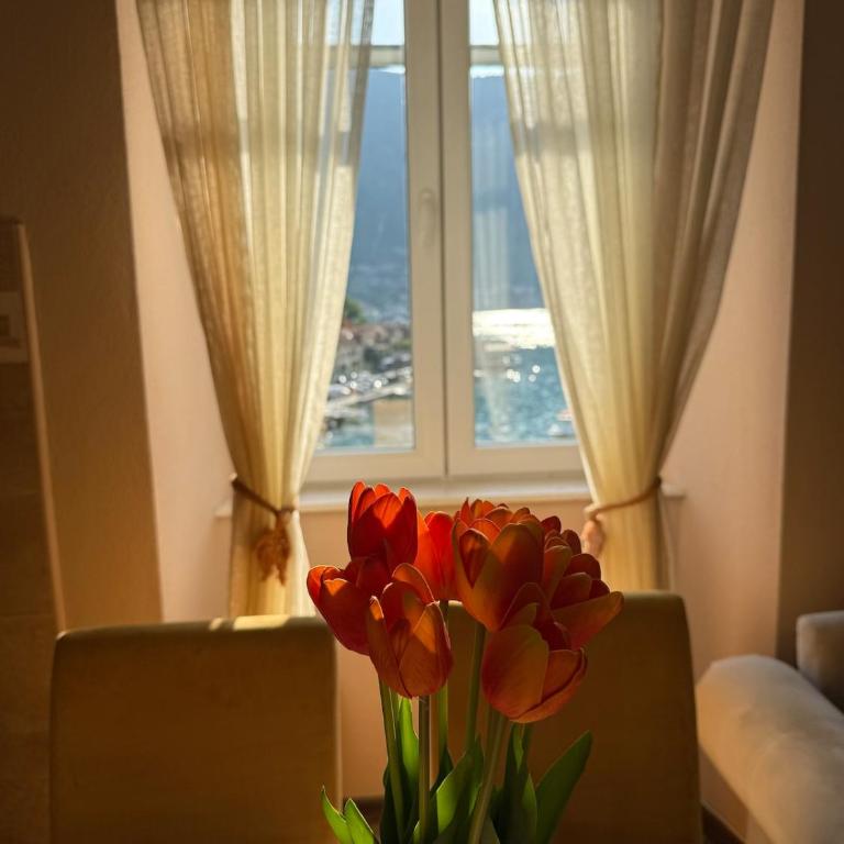 BBK Old Town Apartment - One-Bedroom Apartment - 9