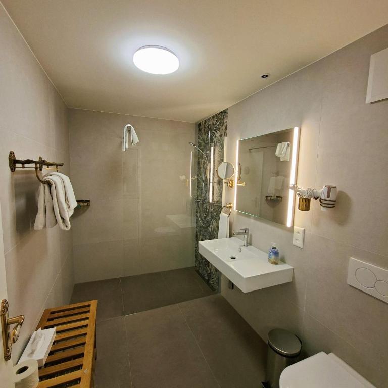 Hotel Central Continental - Deluxe Double Room - 7