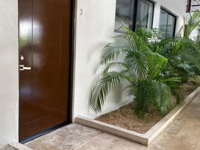 Tu hogar en Mérida - Two-Bedroom Apartment - 56