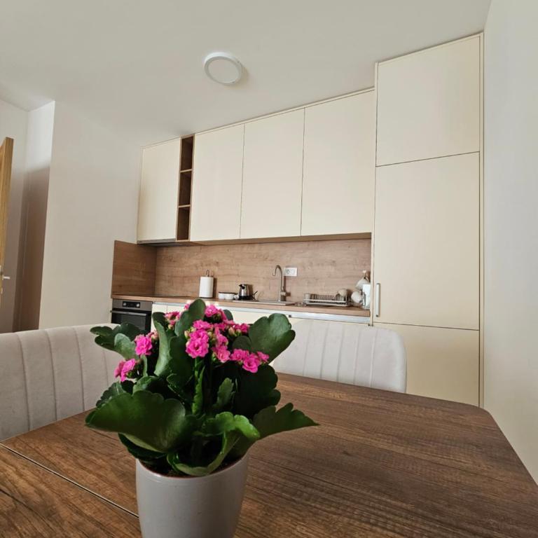 Family Residence Tološi - One-Bedroom Apartment - 2