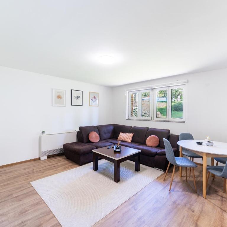 Green and Wood Design Apartments - near Airport with free parking - Apartman sa 1 Spavaćom Sobom - 8