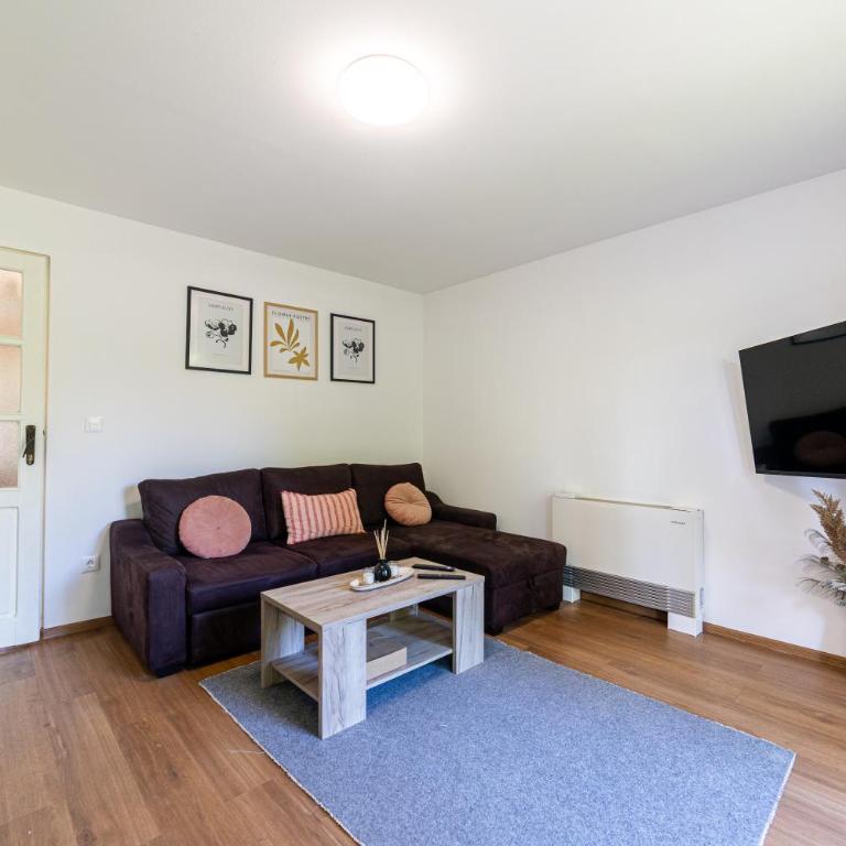 Green and Wood Design Apartments - near Airport with free parking - Apartman sa 1 Spavaćom Sobom - 32