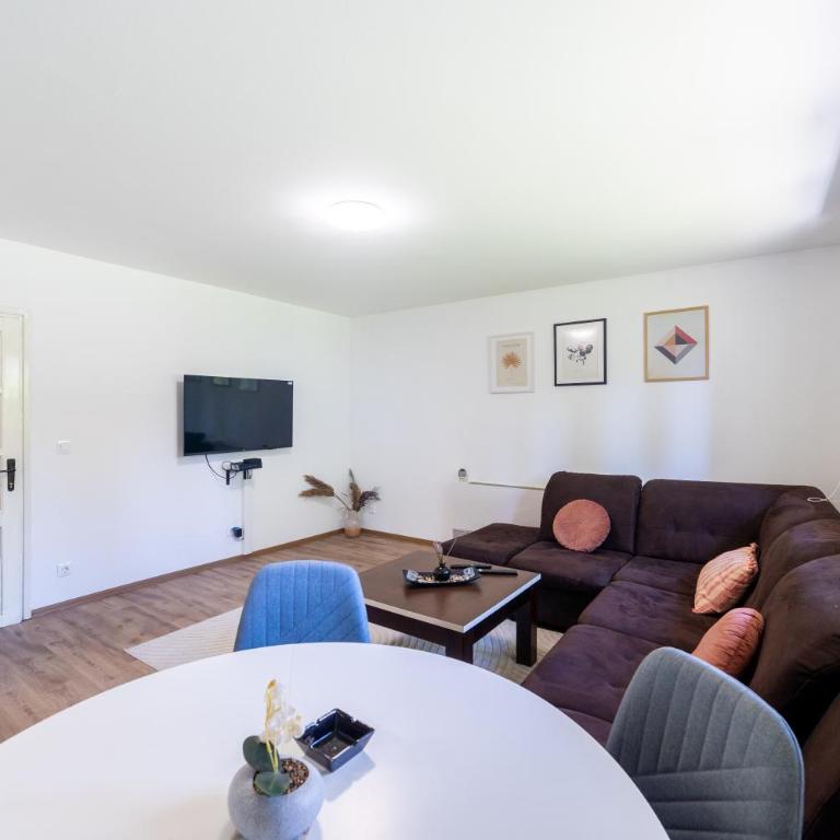Green and Wood Design Apartments - near Airport with free parking - Apartman sa 1 Spavaćom Sobom - 39
