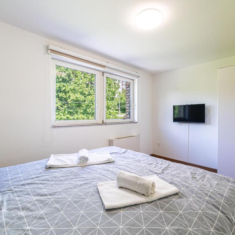 Green and Wood Design Apartments - near Airport with free parking - Apartman sa 1 Spavaćom Sobom - 47