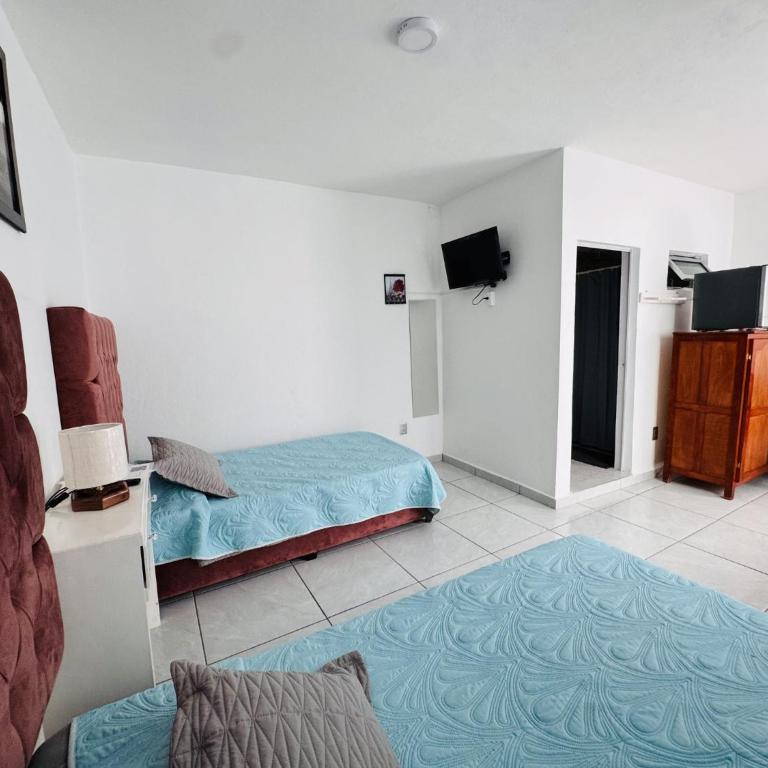 Casa Tulipanes - Twin Room with Private Bathroom - 3