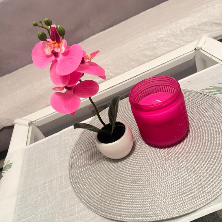 Blush & Stay - Apartman sa 1 Spavaćom Sobom - 4