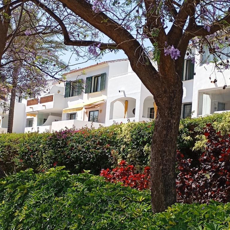Pool-View Apartment with Terrace & Lift in Pueblo del Parque - Apartment mit 1 Schlafzimmer - 6