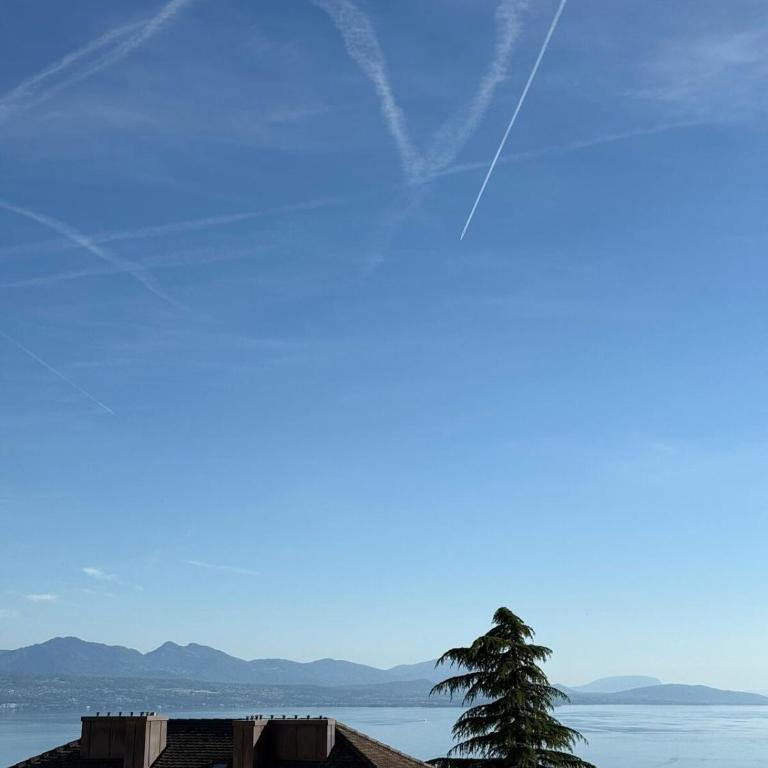 Studio lumineux avec vue sur le Lac et terrasse - Apartment mit 1 Schlafzimmer - 1
