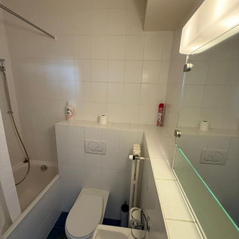 Studio lumineux avec vue sur le Lac et terrasse - Apartment mit 1 Schlafzimmer - 3