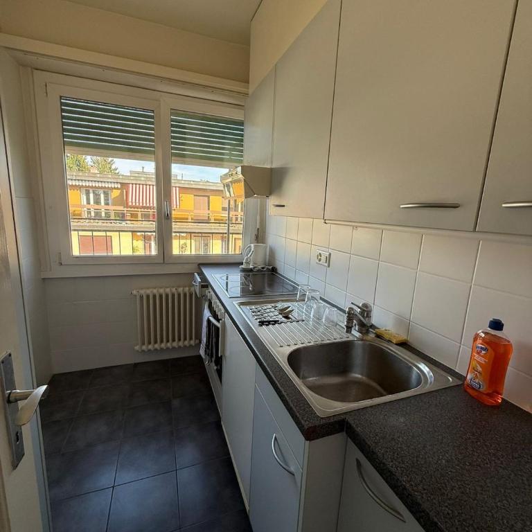 Studio lumineux avec vue sur le Lac et terrasse - Apartment mit 1 Schlafzimmer - 5