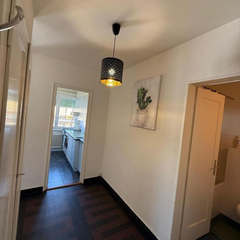 Studio lumineux avec vue sur le Lac et terrasse - Apartment mit 1 Schlafzimmer - 6