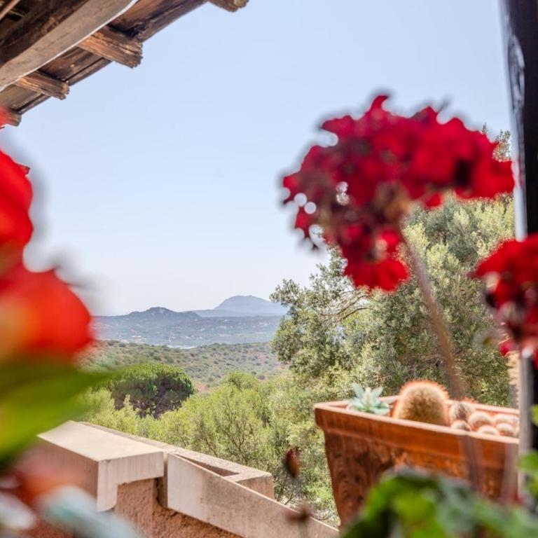 Charming Open Space in Costa Smeralda - Appartamento con 1 Camera da Letto - 5