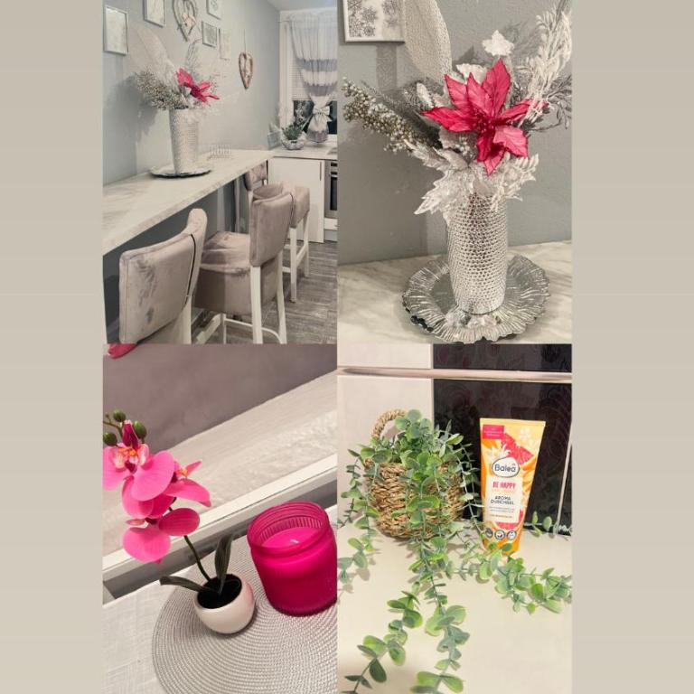 Blush & Stay - Apartman sa 1 Spavaćom Sobom - 1