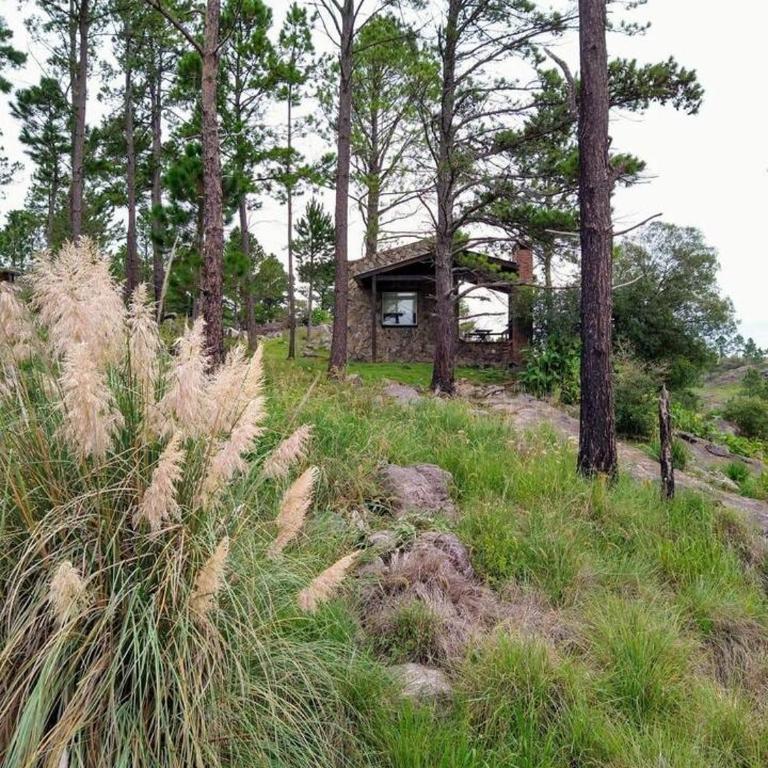 Casas de montaña en Yacanto de Calamuchita - Chalet de 1 dormitorio - 1