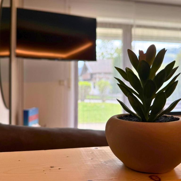FeWo Falkenloft im Allgäu - Sonnenterrasse mit Markise, WLAN, Self Check-in, gratis Parken, tolle Lage, Königscard - Apartment mit 1 Schlafzimmer - 17