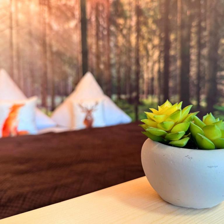 FeWo Falkenloft im Allgäu - Sonnenterrasse mit Markise, WLAN, Self Check-in, gratis Parken, tolle Lage, Königscard - Apartment mit 1 Schlafzimmer - 13