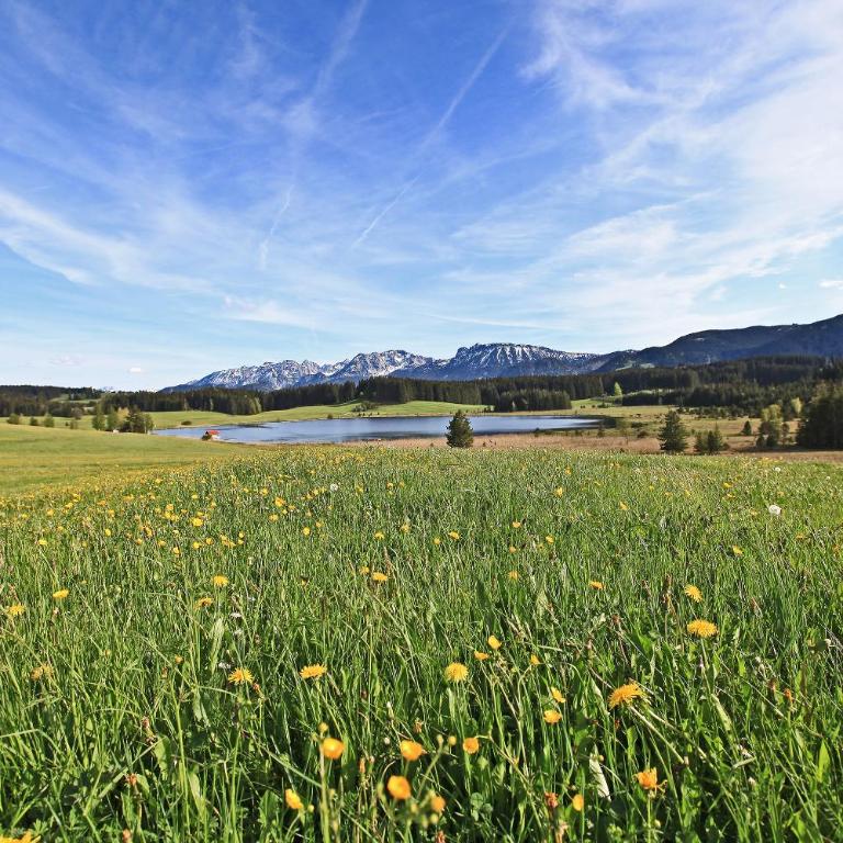 FeWo Falkenloft im Allgäu - Sonnenterrasse mit Markise, WLAN, Self Check-in, gratis Parken, tolle Lage, Königscard - Apartment mit 1 Schlafzimmer - 36