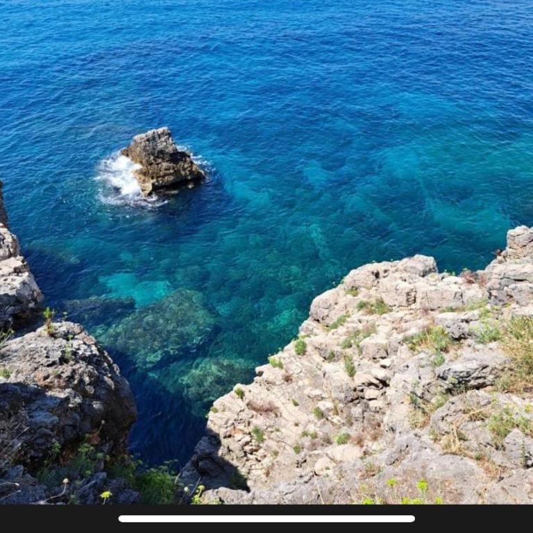 Waterfront Getaway apartman na obali stijena - Apartman sa 1 Spavaćom Sobom - 18