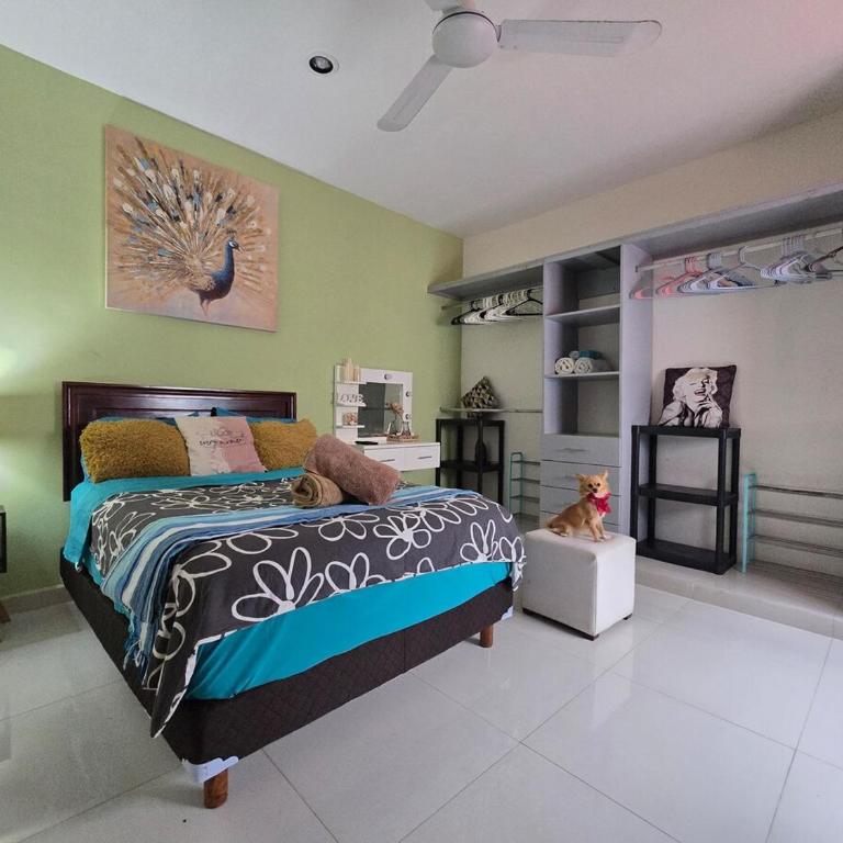 Departamento moderno cerca de Altabrisa y hospitales - One-Bedroom Apartment - 12