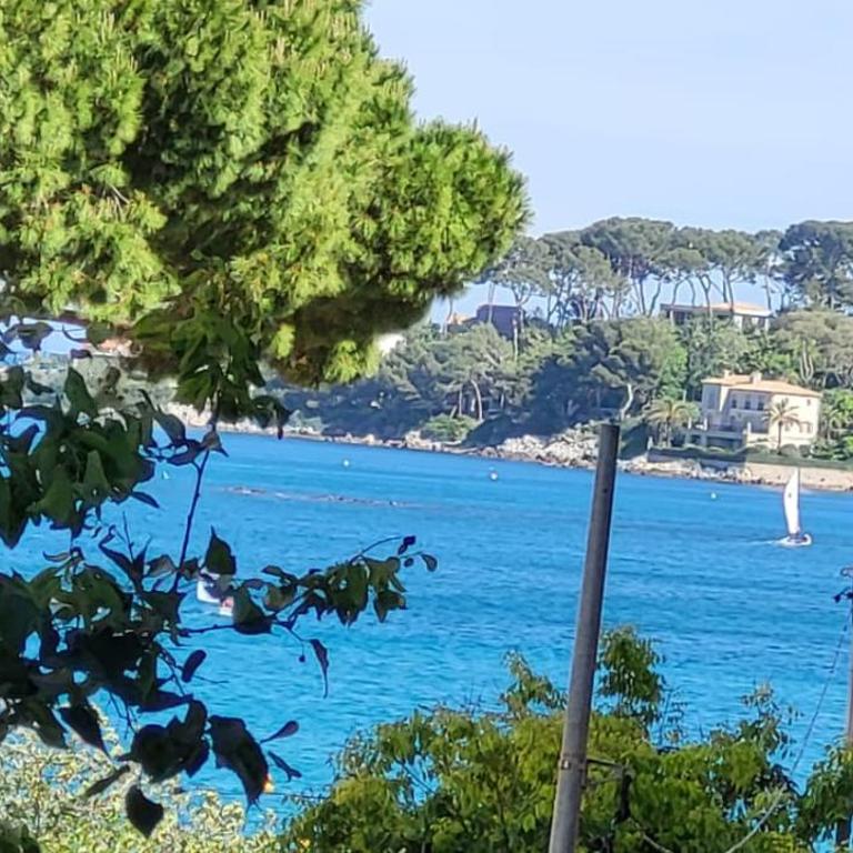 Cap SOLEIL - Apartamento de 1 dormitorio - 1