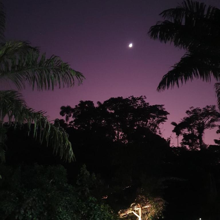 Finca Las Palmas Ecolodge - Bungalow - Frente al agua - 16