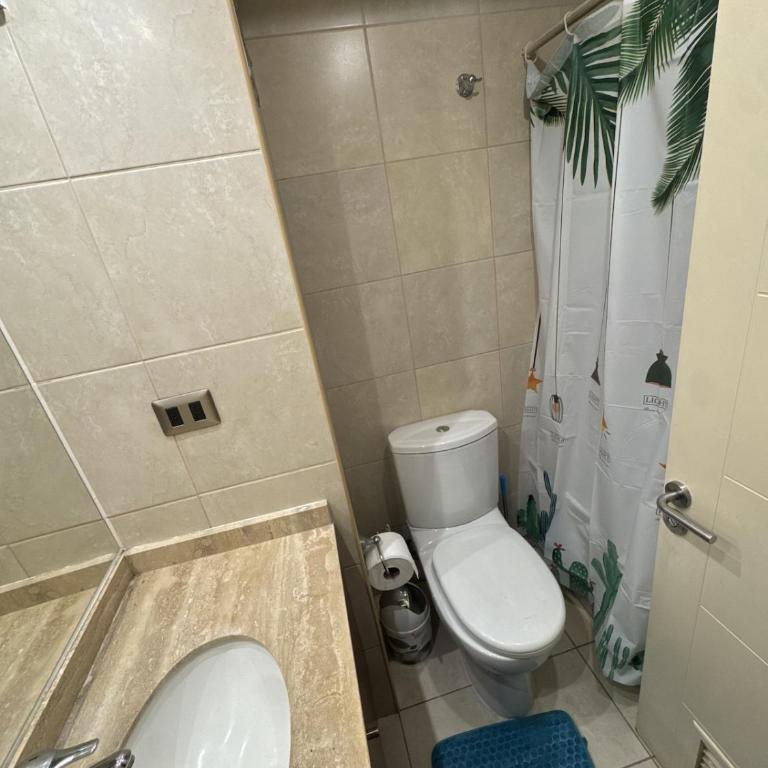 Spectacular apartment in downtown Chillan - Apartamento de 3 dormitorios - 7