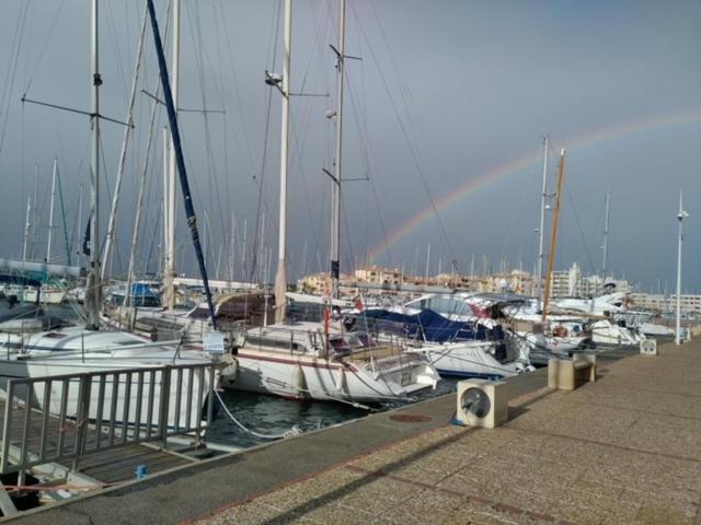 L'appart suspendu sur le port - Apartment mit 1 Schlafzimmer - 20