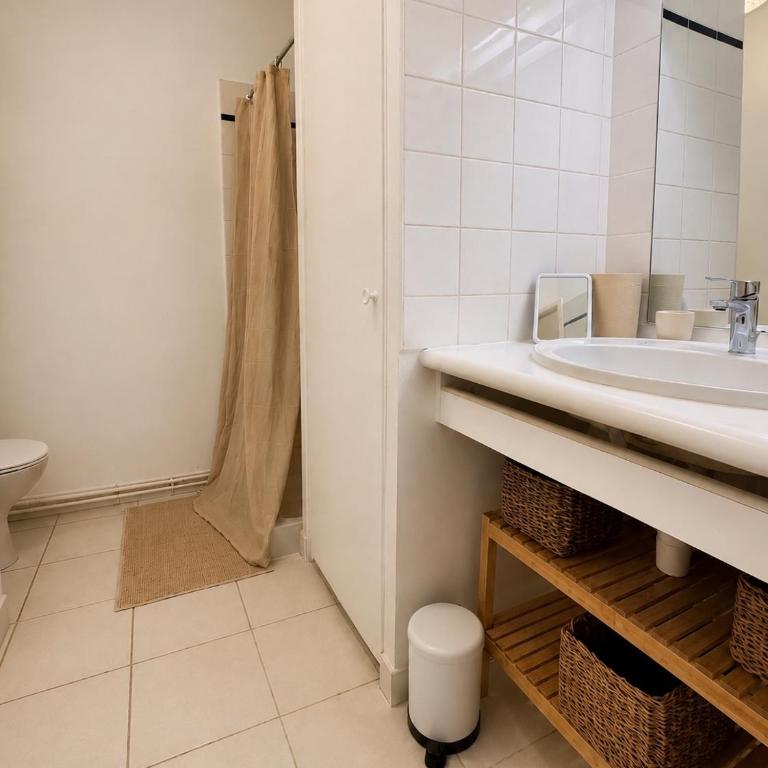 Petit cocon au bord de l'Erdre-Hyper centre Nantes - Appartement 1 Chambre - 11
