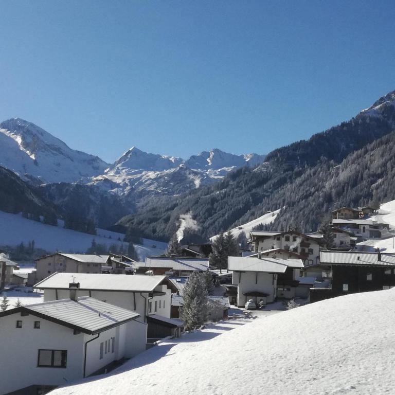 Alps Tux - Apartment - 15