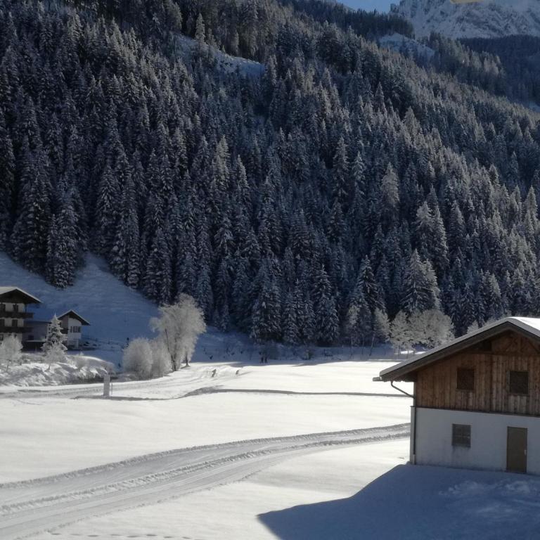 Alps Tux - Apartment - 14