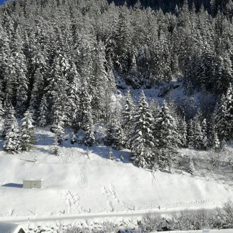 Alps Tux - Apartment - 13
