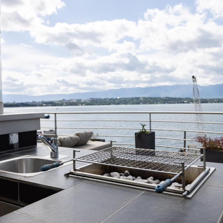 Elite Villa Geneva with Lake View - Villa - 29